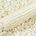 WHITE CORN